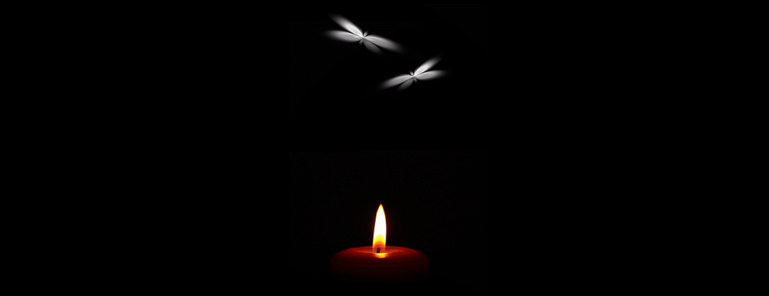 mariposas vela