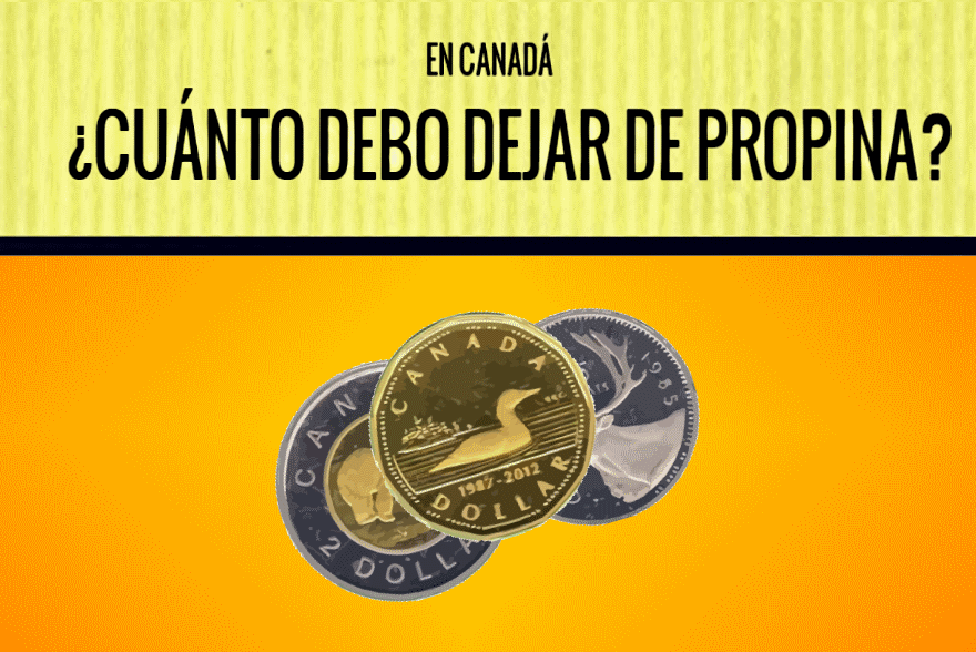 ¿Cuánto dejar de propina? (Infografía)