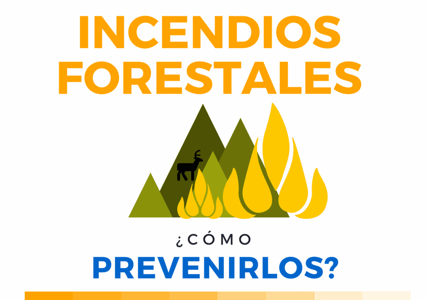 ¿Cómo prevenir un incendio forestal? (Infografía)