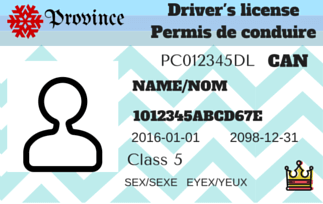Licencia de conducir canadiense