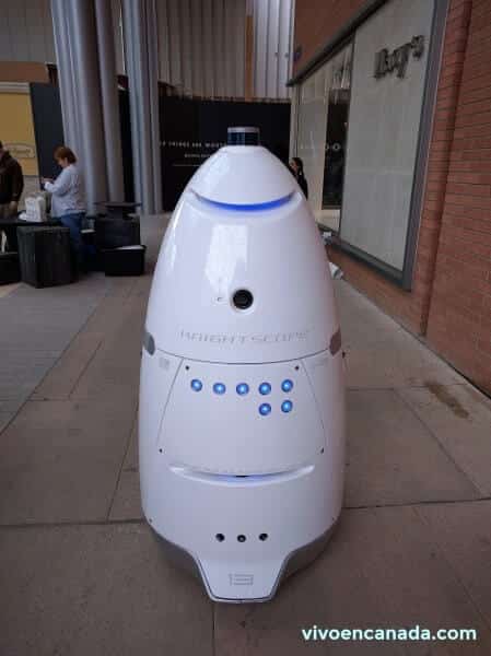Robot vigilante