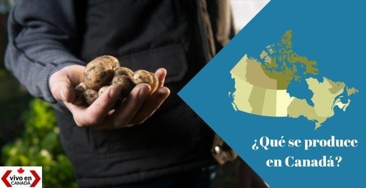 que se produce alimentos en canada